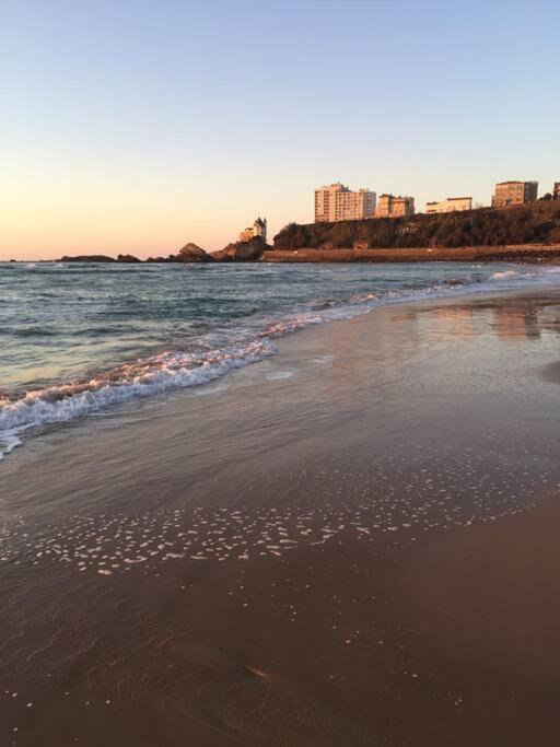 Appartement Cote Des Basques Biarritz Exteriör bild
